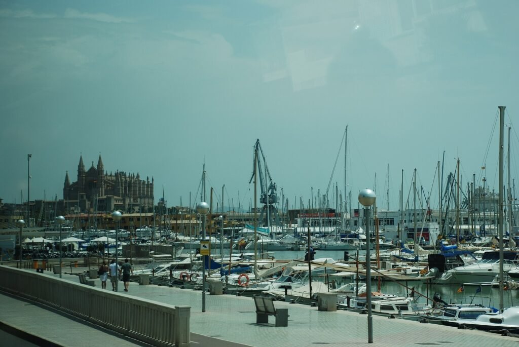 The harbour in Palma de Mallorca